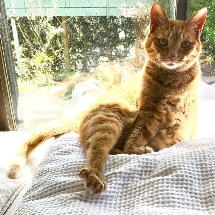 Ca4fe1e5 0806 48be 835f 5e1c95c6c5bc