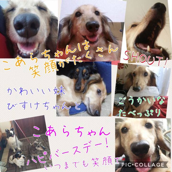 Ca5062da f8d9 456d bf23 0ca48d65b308