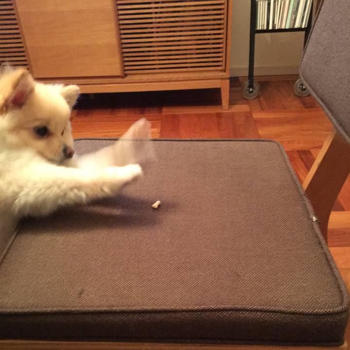 Ca5093a1 1639 49ef 9d53 b5551af02189