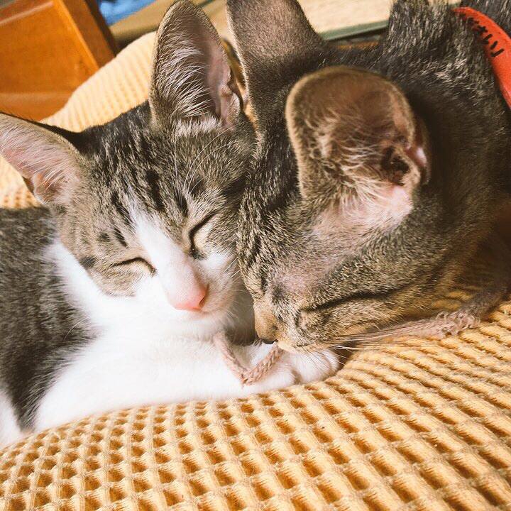 Ca50b15f 2b15 46fe 80e1 83e5bfcce8bc