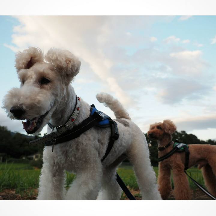 Ca50e34e 6593 4960 8d5a 207e94936763