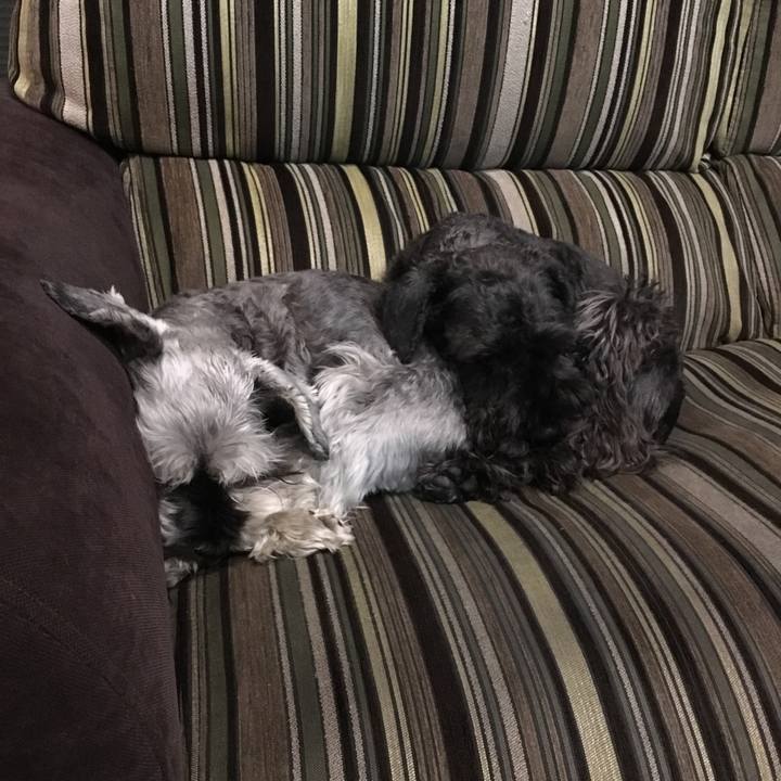 Ca51dbf1 f8e6 48f9 8f63 f25a92c40b26