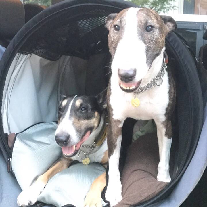 Ca52a527 63de 4883 a429 133a4f57506b