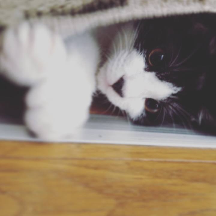 Ca5346a7 e41d 424f 97e5 1e3842b9e998