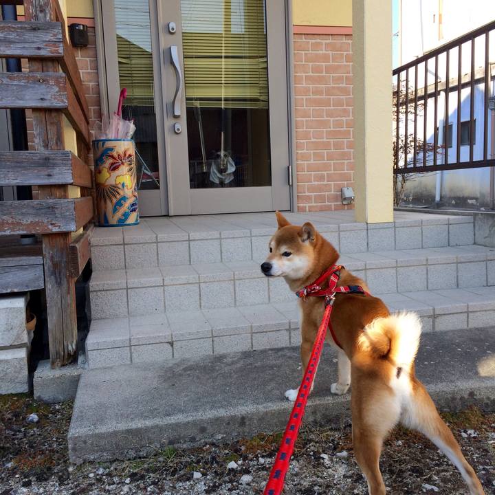 Ca540111 4b1a 4a2a b69f cecfb5fbf091