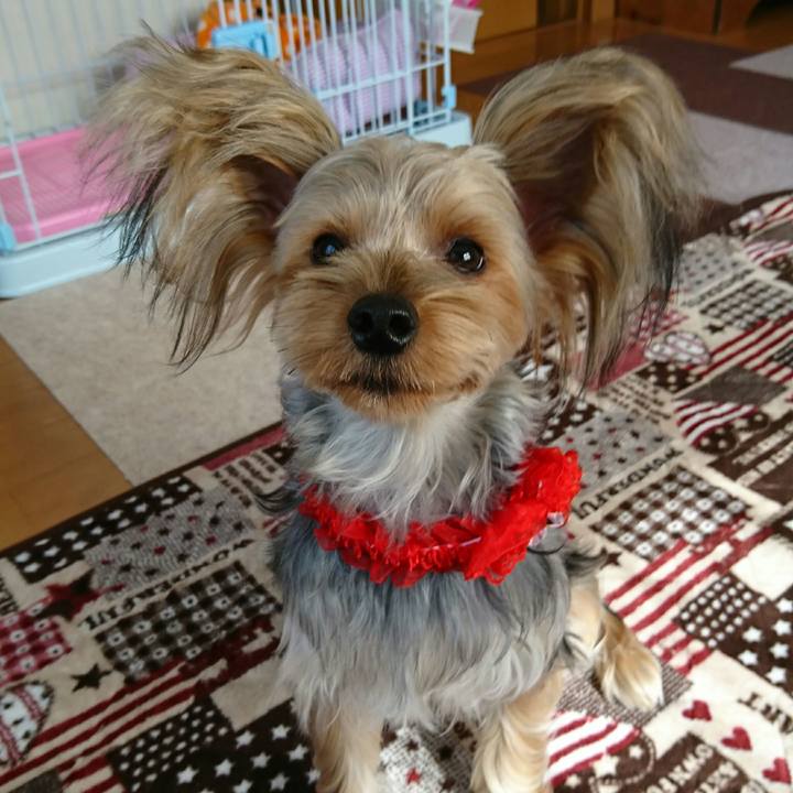 Ca54f3e7 5289 457d 8936 1d2f999a9d57