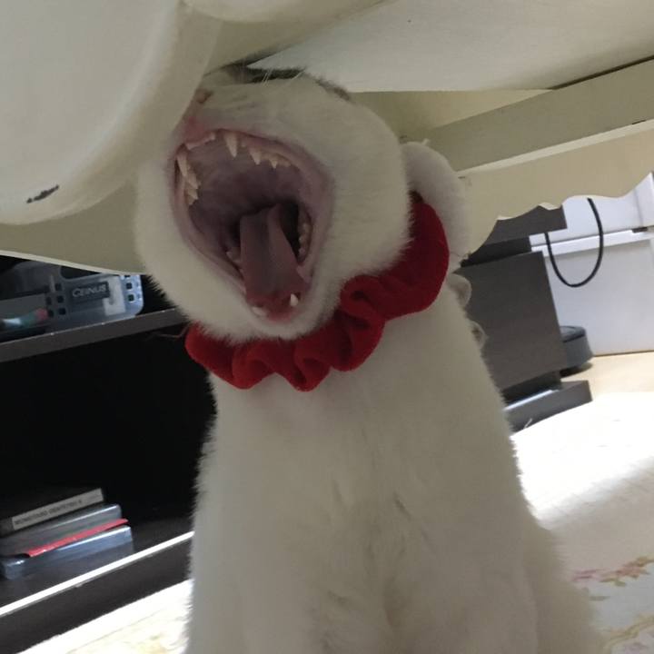 Ca56945c 1652 48bd aa27 3f54fc36ca30