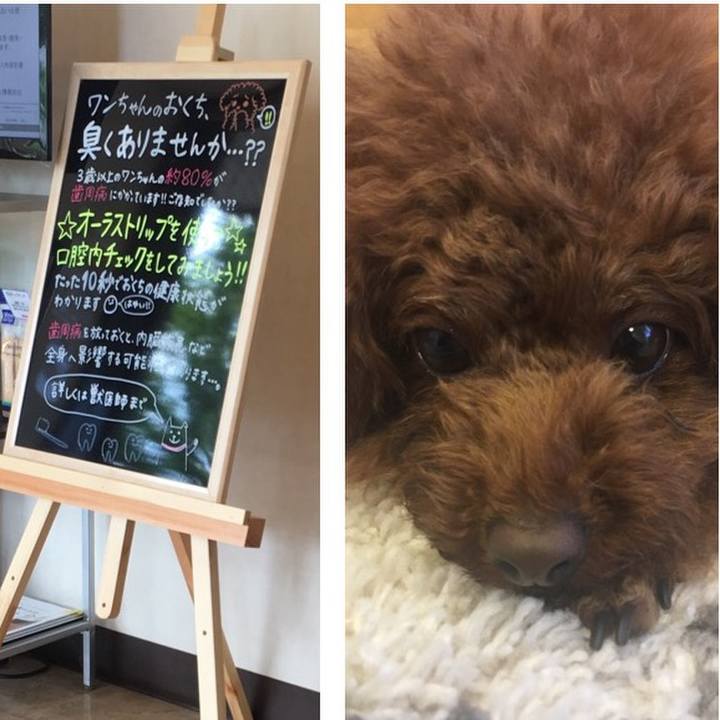 Ca571f6c 1b22 4cc8 a1cb 99f687059552