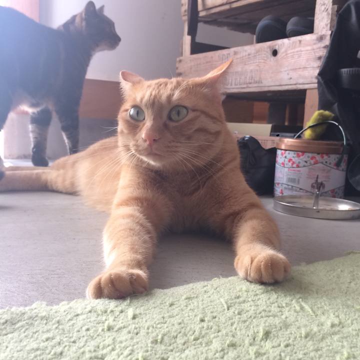 Ca574802 7703 4d10 b9b2 b8b04c2a4612