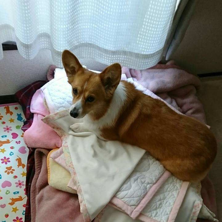 Ca577da8 43f6 4e5f 9559 0fcb527e2b11