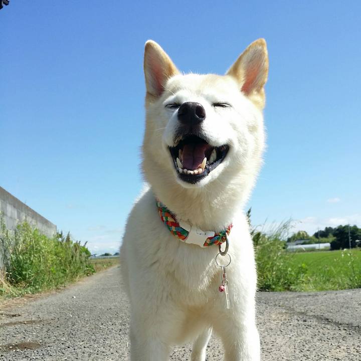 Ca5785c4 9e4a 485d a168 37c833042786