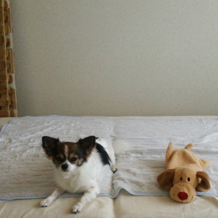 Ca579954 0dd5 4db8 a468 a3f1ada7b3b9