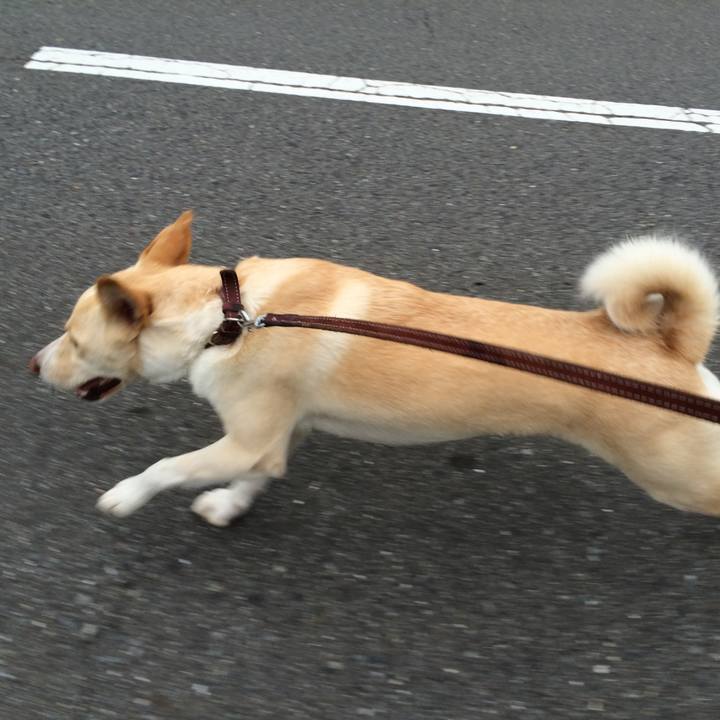 Ca57ae04 c72a 4b1c ae63 b3c6c44dc4a1