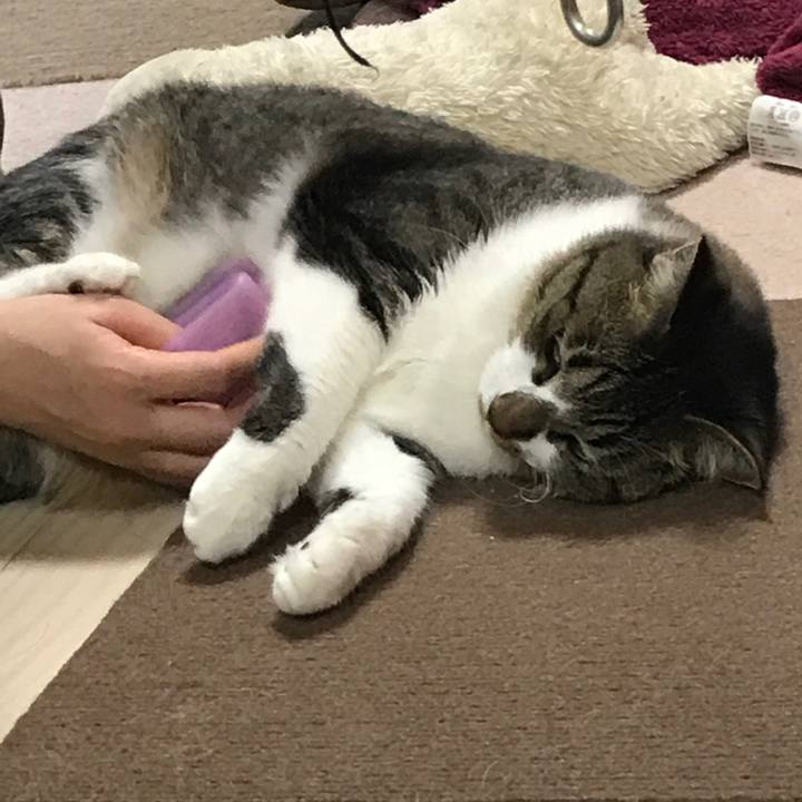 Ca57bc7e 6f38 4381 99d6 fd1405c12e0a