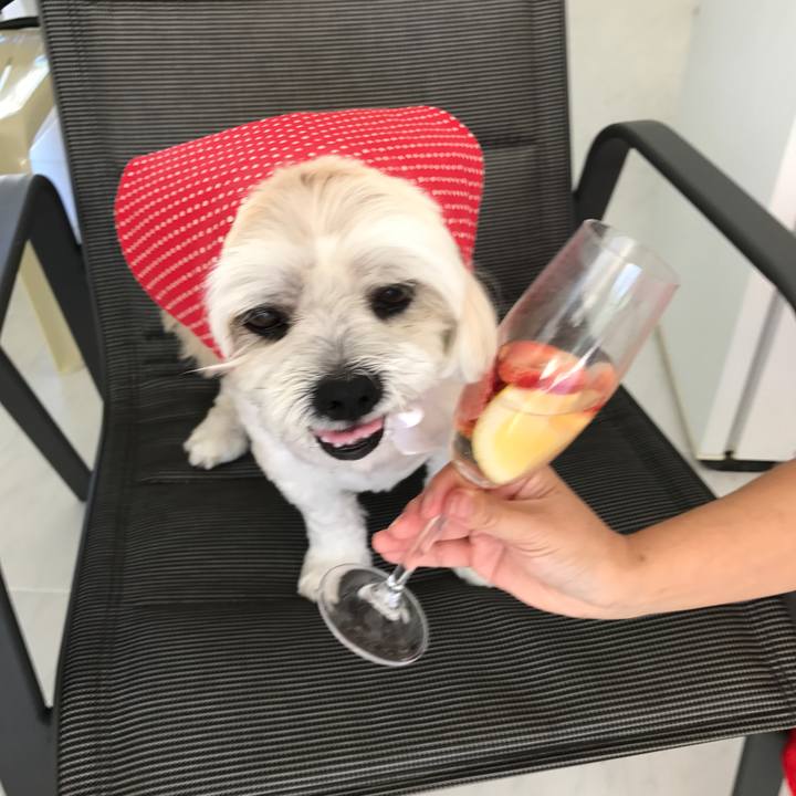 Ca58079c 20f1 42d8 a49a cde4edac6ef4