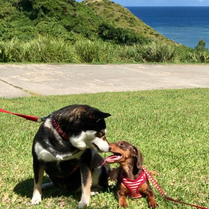 Ca58b2b9 8f8e 4cbc a603 c31fdaf0a712