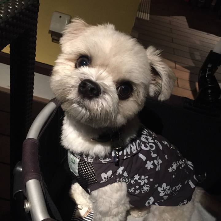 Ca58b752 becb 4e93 8ddc f2cf6332982c