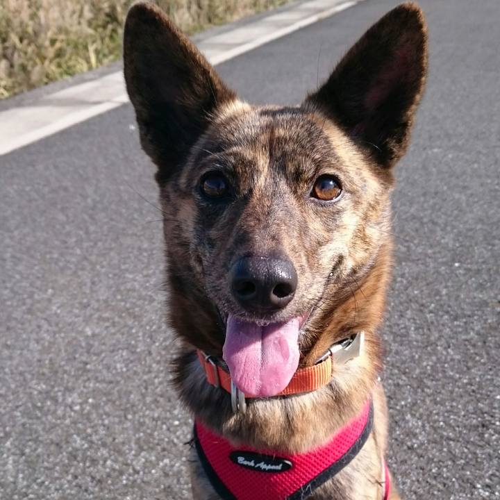 Ca58d2ca 2f9d 4abc 9aac efc19bbab688