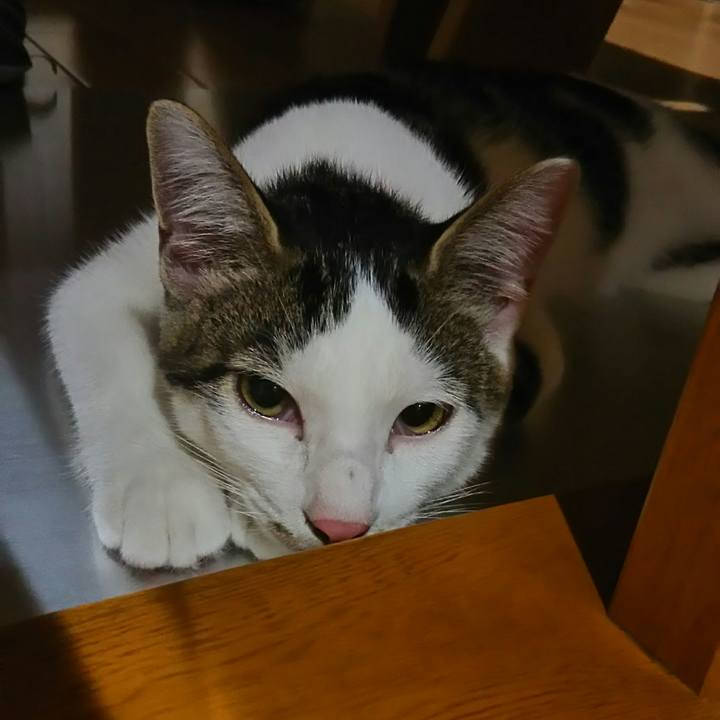 Ca590590 b5c8 4668 8124 b032333b2b16