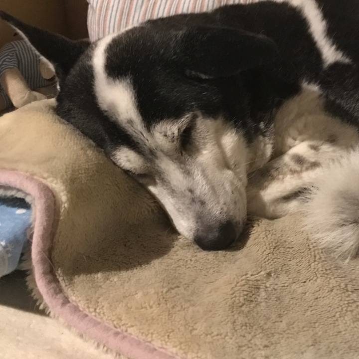 Ca59d3ea c672 43a0 b085 855e6aa9cbc1