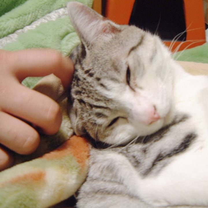 Ca5a5c51 9e78 41d4 bc86 2aa42b9f1b2b