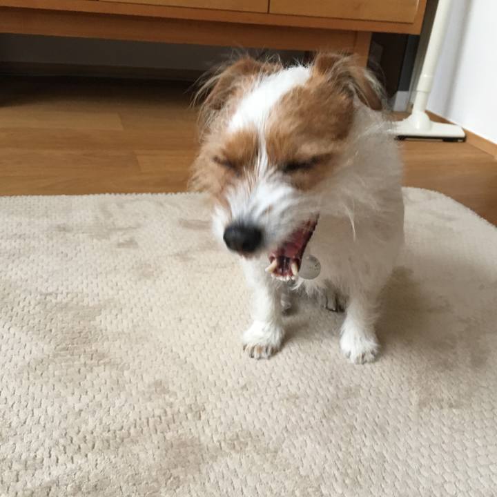 Ca5b0e6a f1ab 4139 8bd4 c687bd2d052e