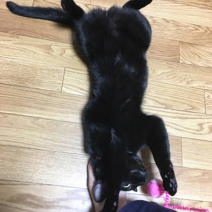 Ca5bb32b d3a4 4119 b89f ff5479fac587