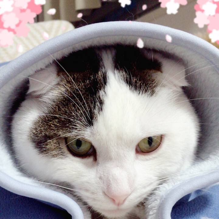 Ca5be6b2 1254 4766 b942 bbda4a17f241