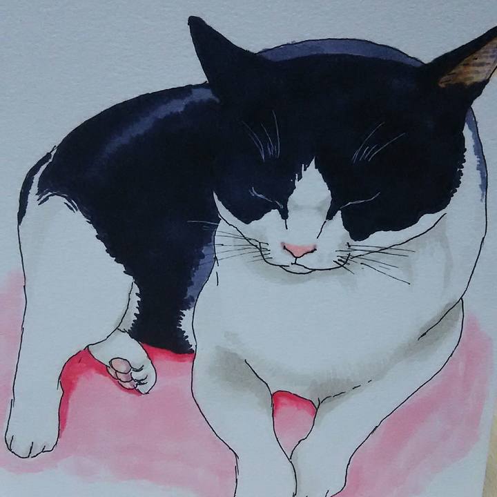 Ca5c7b87 f390 4d84 916b e0767ec23bc7