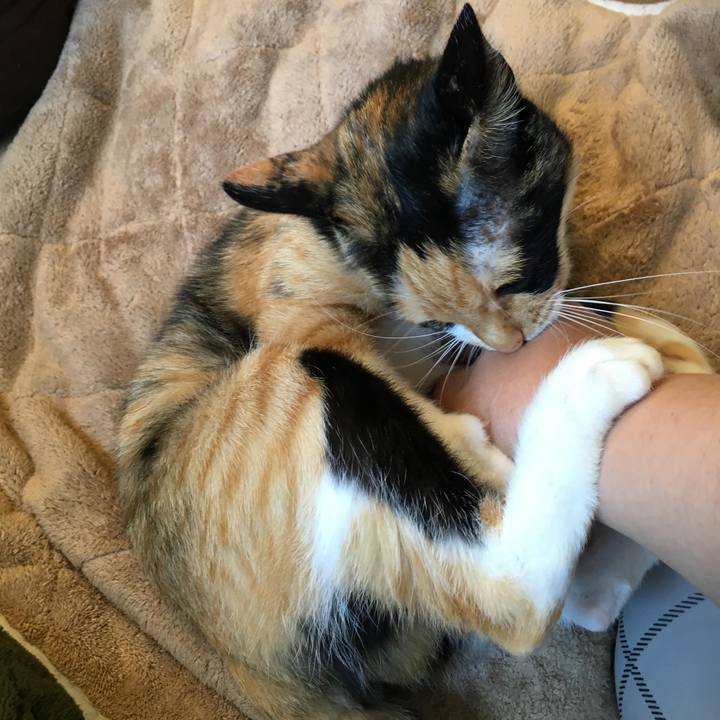 Ca5c834f 9019 4494 845e 513f52481696