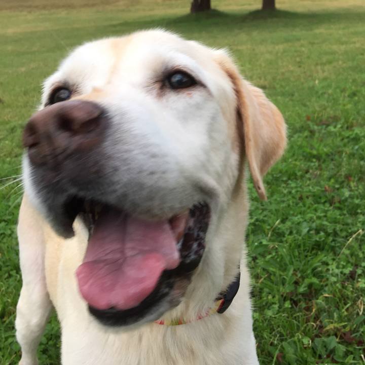 Ca5d65fe 01a5 4061 8239 67bec9d7656e