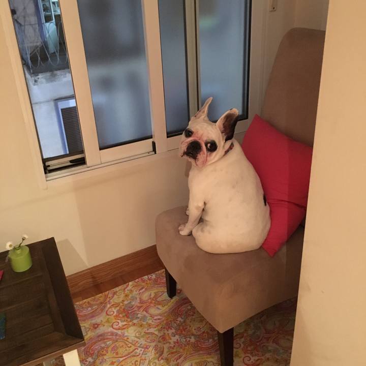 Ca5dbd2d a523 4e7f 8881 60a33e65f27a