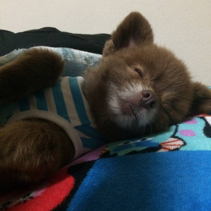 Ca5e182d 582e 4754 87b0 102eca2123c2