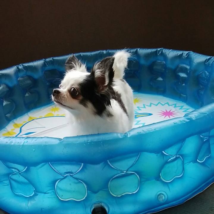 Ca5e7955 6bde 4b86 a9ef b53579d24669