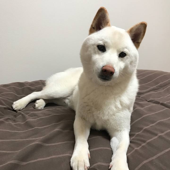 Ca5eb6a6 0a8a 4f01 b237 93968d941d21