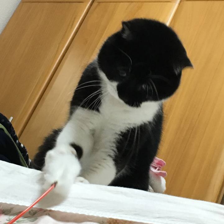 Ca5f36ba a665 4797 bddd 0bbbb2ba8d86