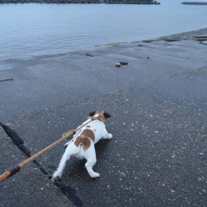 Ca5f5910 01a2 4634 be3d a2f9724af83f