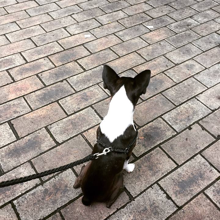 Ca5f6d15 e627 49f5 9248 aef46960dd3e