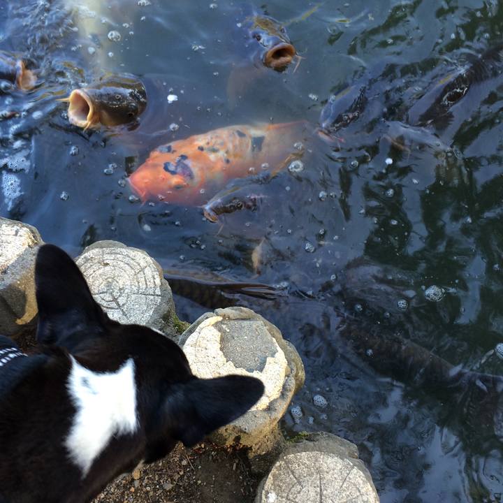 Ca5f7e88 0eca 4e4b a119 5b5ff3849017