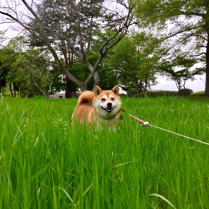 Ca5fe388 c120 4ed1 bda1 106e9a0931cd