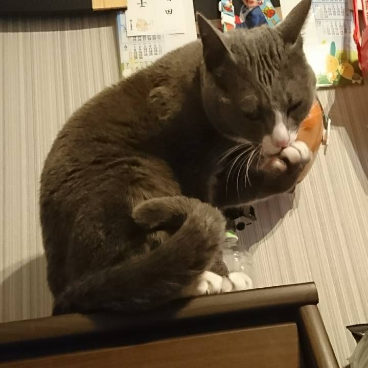 Ca602dea 8c55 4542 ad1b c8a849a59ffa