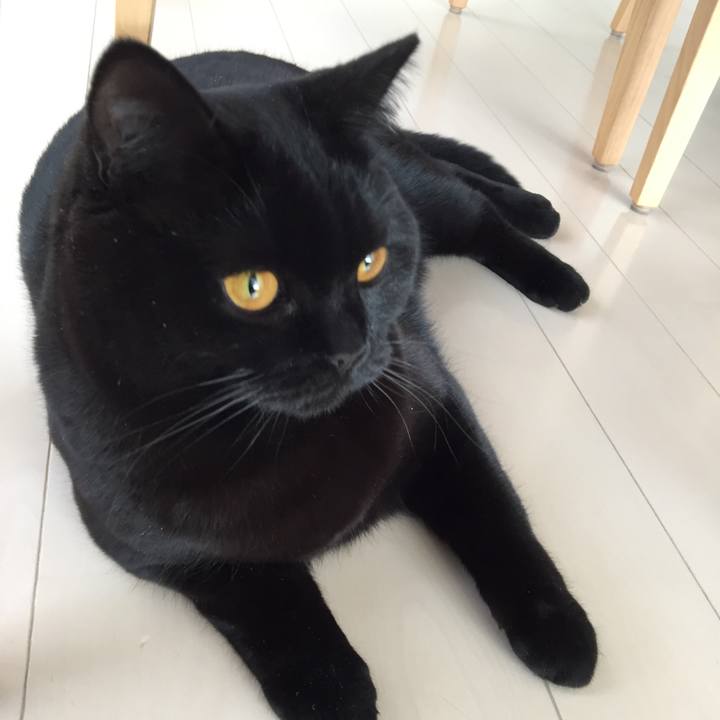 Ca603c0a 895a 48d3 b9b3 2aae77545b65