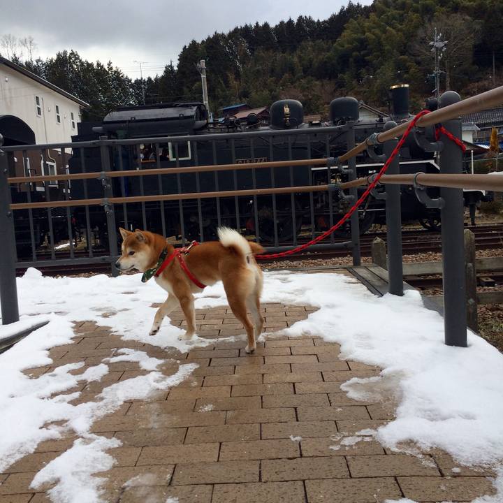 Ca60ce1f 1e91 4fd3 abaa 54c219243df8