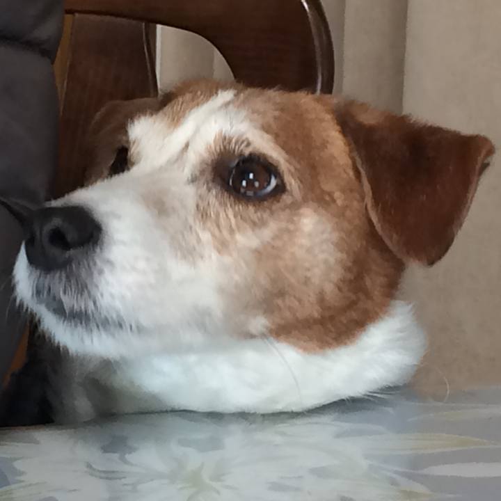 Ca60e1a5 7eeb 47c3 99c1 87f9bd4f174c