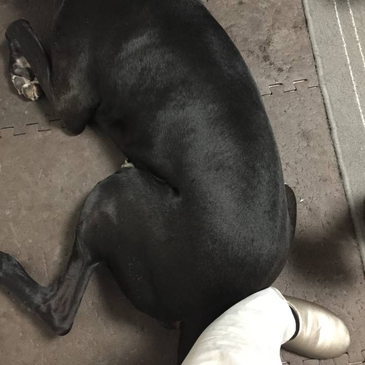 Ca612c65 843f 4657 acec 412aee89a28e