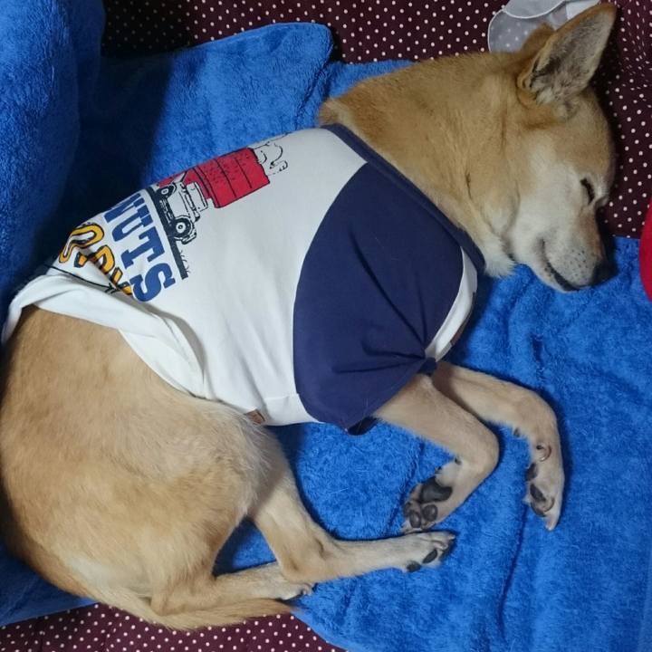 Ca61be07 49b5 4c77 b577 352853468e7c