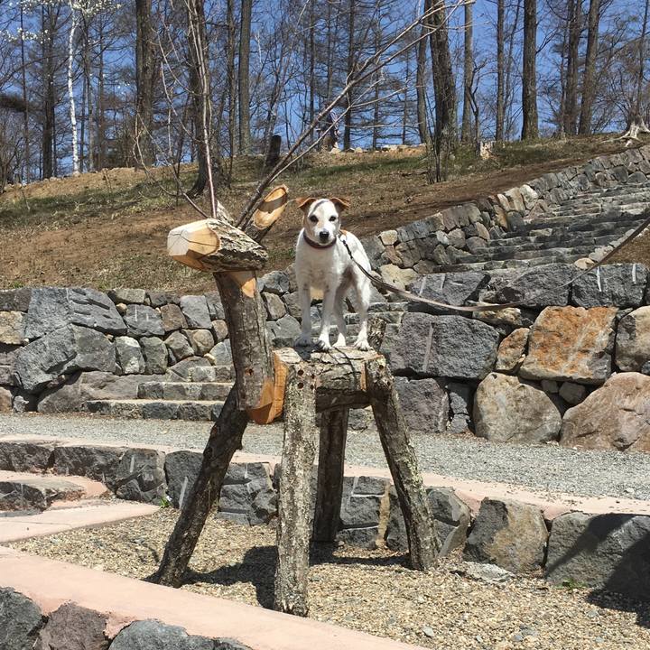 Ca61eb83 29e0 4bf7 b6b6 dddb73a8a249