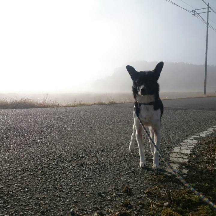 Ca61fbd0 aae2 42db b829 a79e03e07951