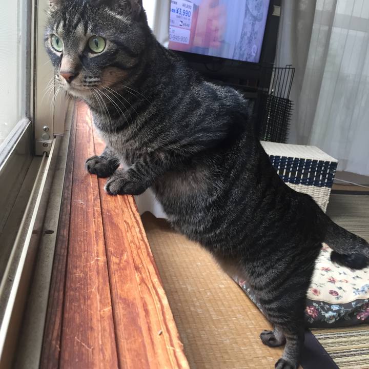 Ca624180 b6be 45e5 a017 b1f5f4b9cf4b