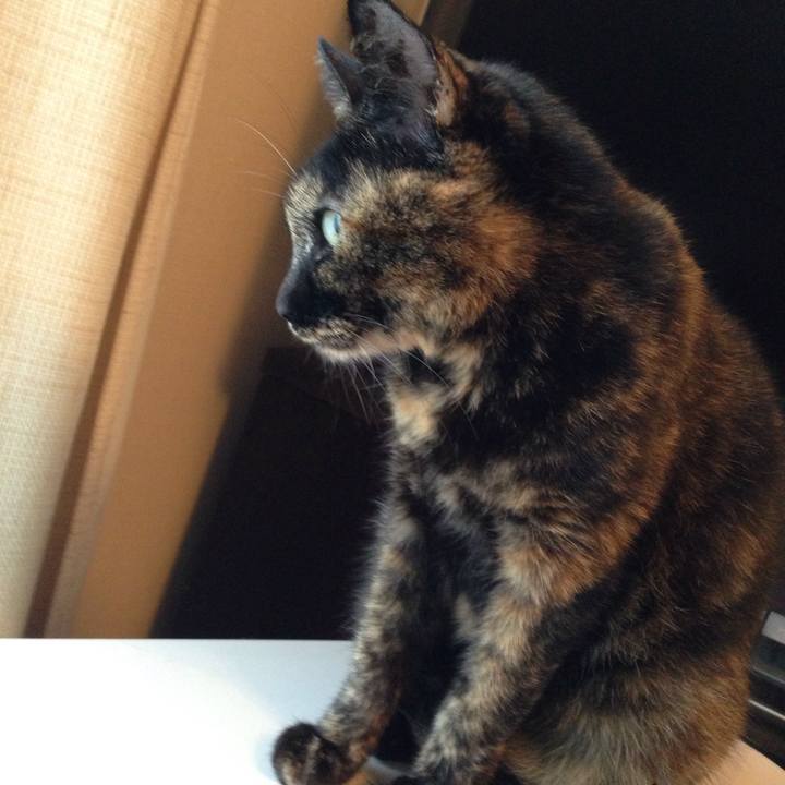 Ca62a130 8764 4879 a3ac 89ff0e98113a